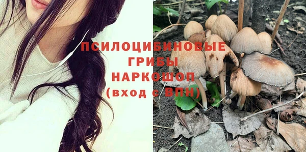 прущие грибы Бикин
