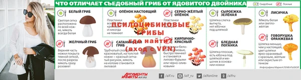 ГАЛЛЮЦИНОГЕННЫЕ ГРИБЫ Наволоки