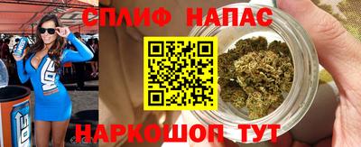 гидра Гагарин