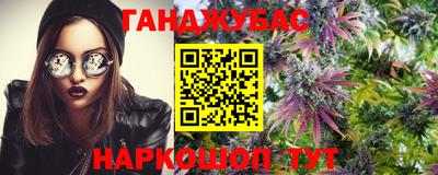 бошки Гай