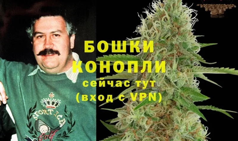 Каннабис SATIVA & INDICA  Советская Гавань 